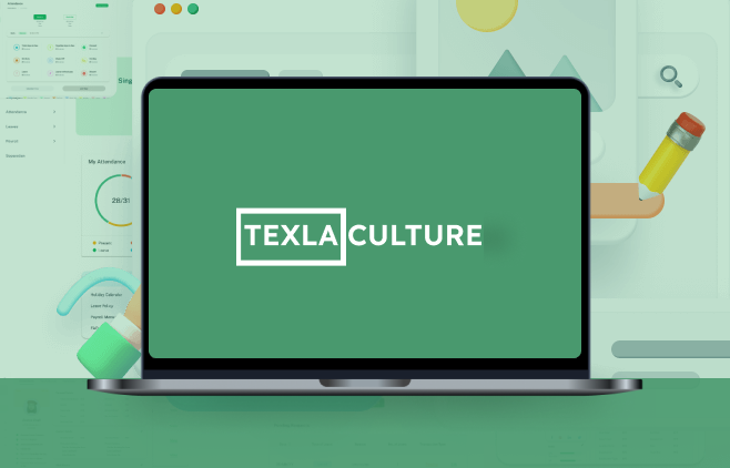 software development